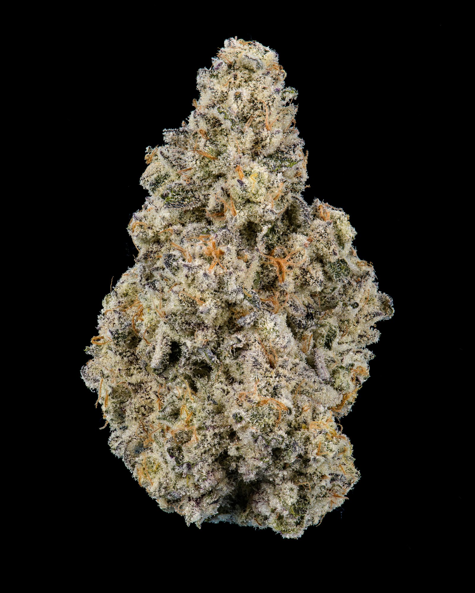 bernscotti-thca-flower-10-scaled