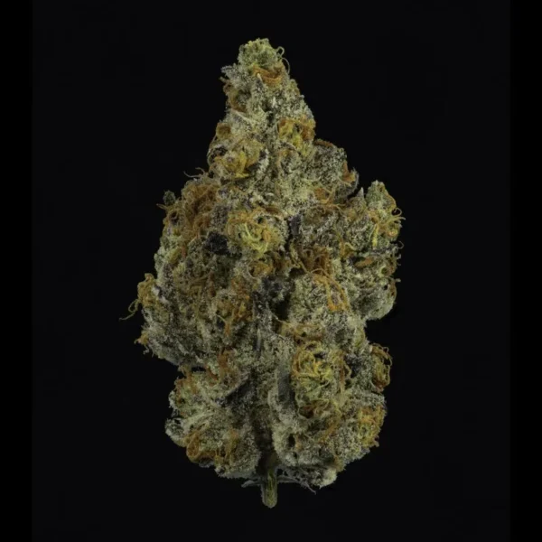 pineapple-thca-flower-7-800x800 pineapple-thca-flower-7-800x800