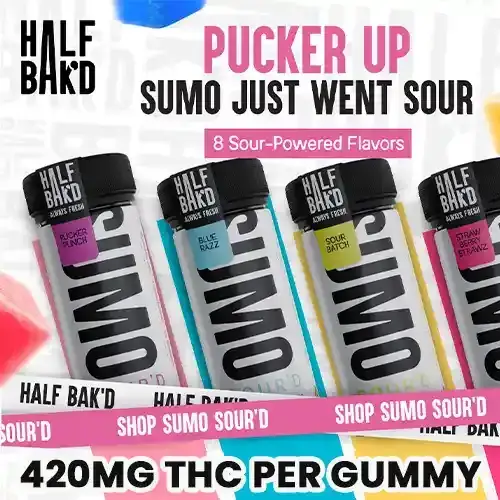 Half Bak'd - SUMO Sour'd THCP Gummies - 10,000mg
