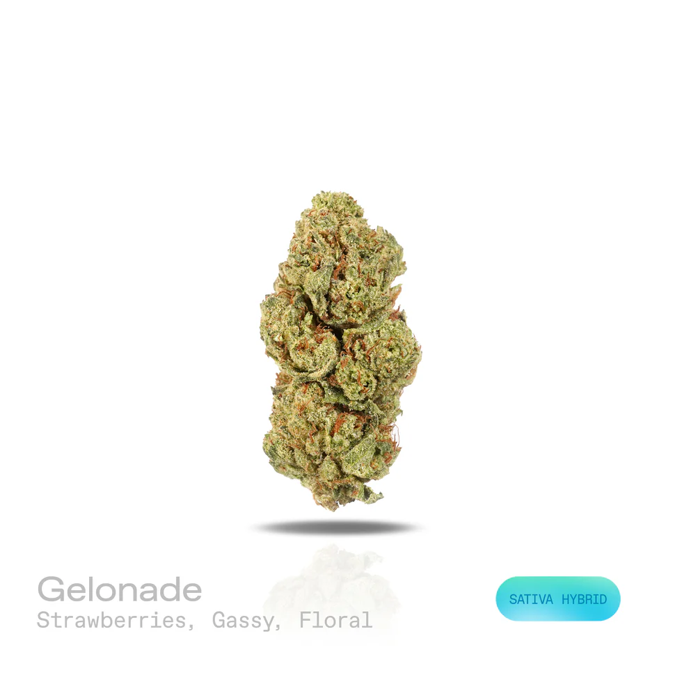 Gelonade THC-A Flower (Indoor) (Sativa Hybrid)
